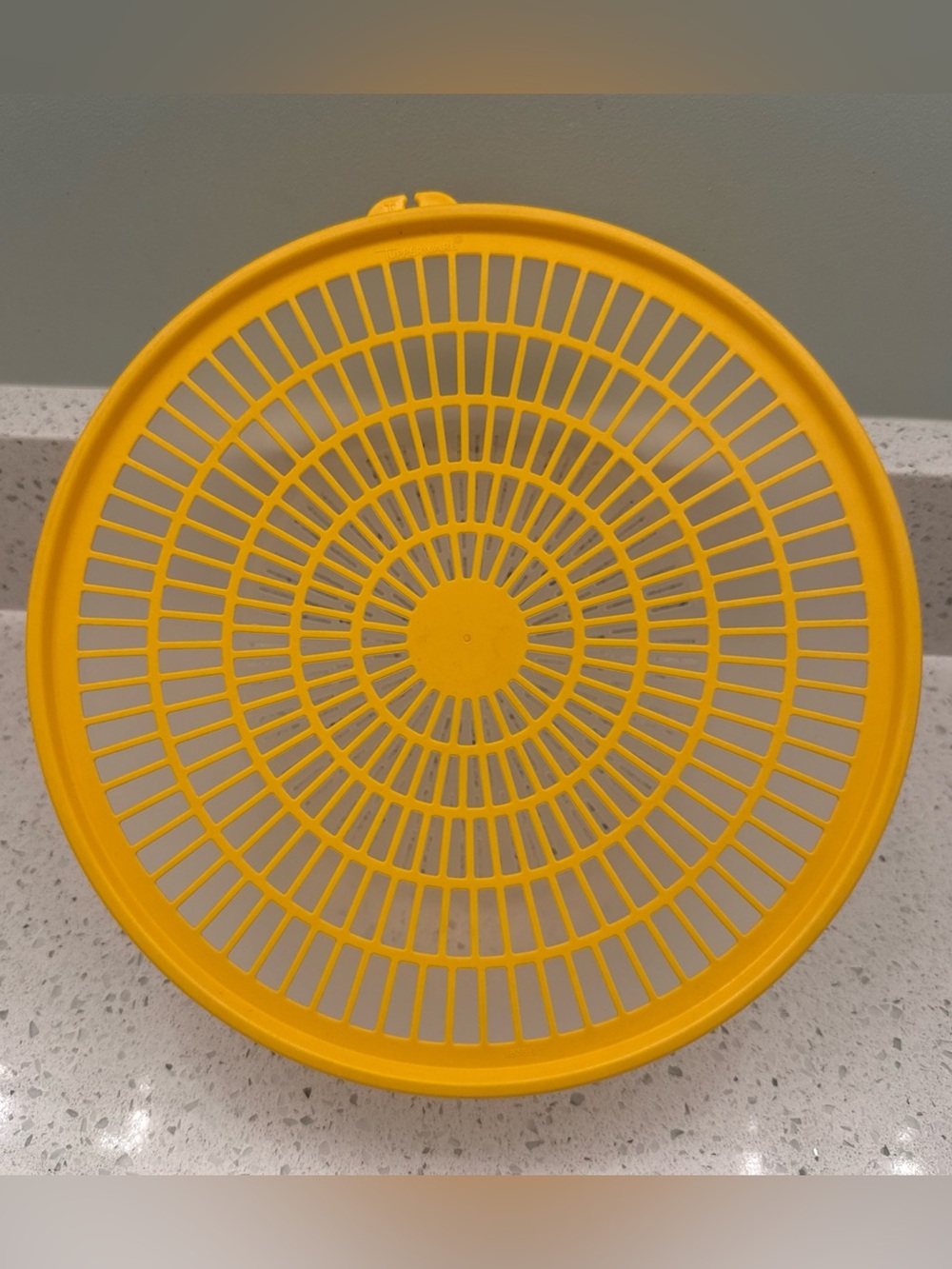Tupperware Colander Strainer